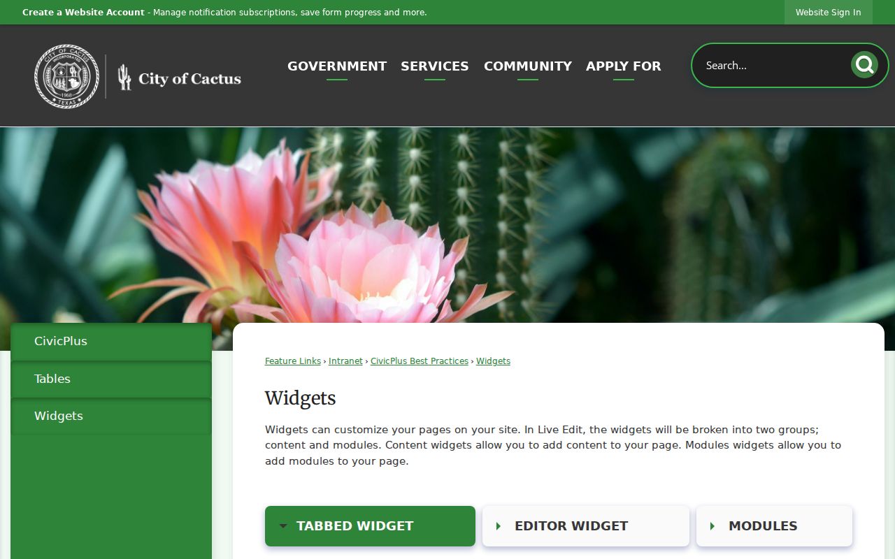 Cactus criminal court records on the official Municipal Court page